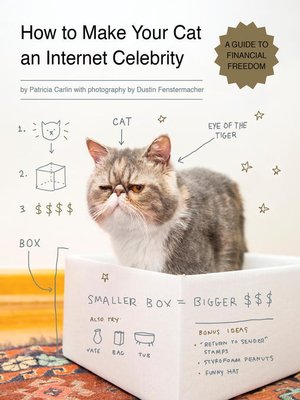 cover image of How to Make Your Cat an Internet Celebrity